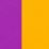 Neon Purple / Neon Orange